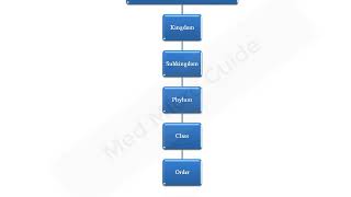 General characteristics and classification of Protozoa lecture [upl. by Soinotna]