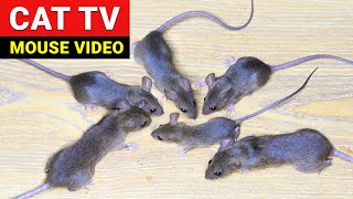 Mouse Sounds  CAT TV  Videos for Cats to Watch  Rat Sound  Cat Games [upl. by Yve]