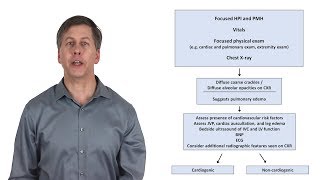 An Approach to Acute Dyspnea [upl. by Refitsirhc]