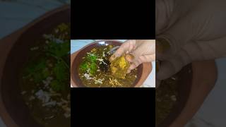 Palak Paneer recipe [upl. by Mylor]