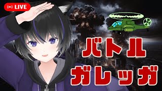 【バトルガレッガ】気分転換にSuperEasyモード遊んでみる【きよまるkiyomaru】 [upl. by Akemehs601]