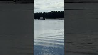 Boats passing on the South Carolina Intra Coastal Waterway music song [upl. by Brubaker78]