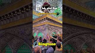 Moula Imam e Raza as Nadeem Sarwar  Ringtone Noha [upl. by Belayneh99]