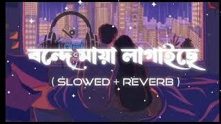 Bonde Maya Lagaice Lofi   SlowedReverb   Bangla lofi  Lofi Seek  lofi lofimusic banglasong [upl. by Nho]