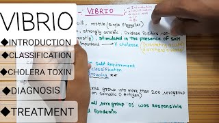 Video no14 Vibrio cholera  introduction classifications cholera toxin diagnosis treament [upl. by Adnilra]