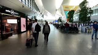 4K PLANE SPOTTING at Gdańsk Airport 2022  A320NEOs 737s E290 amp More [upl. by Enneirb673]