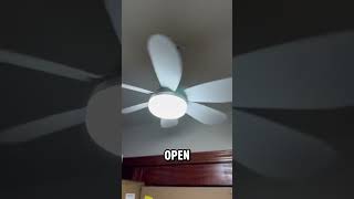 Socket Fan Light Ceiling Fans with Lights and Remote fan home fanlight lightfan socket decor [upl. by Dionysus]