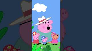 Peppa has a Boomerang PeppaPig Shorts [upl. by Posner]