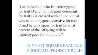 Punnett square practice problems product rule [upl. by Salter]