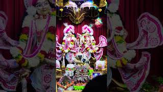 Shree krishna Govind hare murari 🙏🙏🙏 OdiaManoranjan jayshreekrishna isckon youtubeshorts viral [upl. by Crawley]