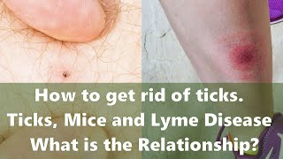 How to get rid of ticks Ticks Mice and Lyme Disease  What is the Relationship [upl. by Emmeline]