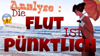 Die Flut ist pünktlich ANALYSE  SOUS TITRES [upl. by Riki]