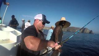 Yellowtail Fishing Anacapa Island on the Aloha Spirit [upl. by Kirrad23]