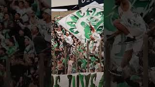 Torcida Organizada do Juventude  Mancha Verde 🇳🇬🥁 🎥juventudeoficial1539 [upl. by Berthold380]