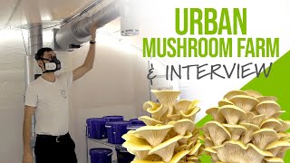 Meet These Urban Mushroom Growers  GroCycle [upl. by Elades]