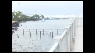 Protegen delfines de instalación de recreo en Cienfuegos [upl. by Irrej]