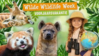 Wilde Wildlife Week  Voorjaarsvakantie 2024  DierenPark Amersfoort [upl. by Naivaf]