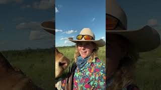 agriculture aussiecowgirl australianoutback [upl. by Itnahsa605]