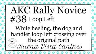 AKC Rally Novice 38 Loop Left [upl. by Einwat]