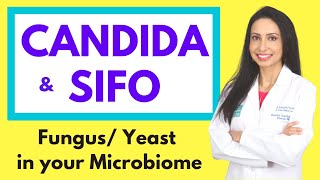 CANDIDA and SIFO Small Intestine Fungal Overgrowth Fungal Yeast Overgrowth in the Microbiome [upl. by Philipson]