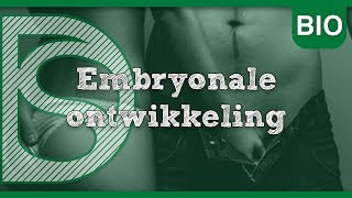 Biologie  Embryonale ontwikkeling Voortplanting [upl. by Vandyke]