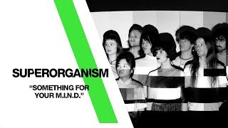 Superorganism  ‘Something For Your MIND’ Live From The Independent  San Francisco CA [upl. by Shulock774]