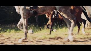 Trailer Toscana Endurance Lifestyle 2017 [upl. by Ulah]