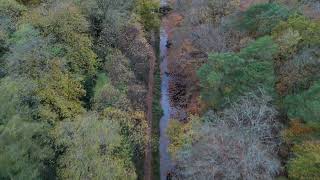 Basingstoke Canal Drone Footage  Deepcut  November 2024 [upl. by Anis710]