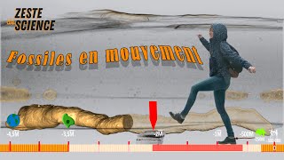 Fossiles en mouvement  ZdS27 [upl. by Nivlag818]