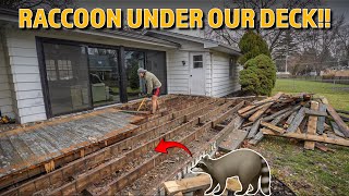 Getting Rid of Our Unwanted Roommate  Building a New Backyard Deck  Part 1 Demolition [upl. by Murielle]