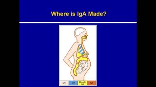 Selective IgA Deficiency [upl. by Nonac490]