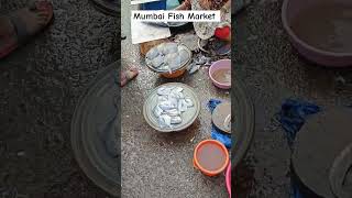 Mumbai Fish Market 🐠 near CSMT shortvideo seafood fish [upl. by Reis]