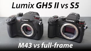 Lumix GH5 II FIRST LOOKS review vs S5 and GH5 [upl. by Amora755]