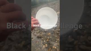 1 gallon black sand challenge BlackSand HeavyPans Prospecting Gold BooboosPoint Vermont ￼￼￼ [upl. by Rehprotsirhc]