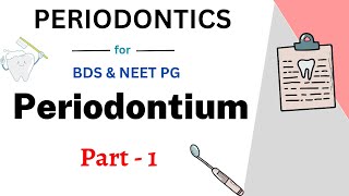 Periodontium Easy Dentistry  Lecture 1  Teethopedia [upl. by Ripleigh]