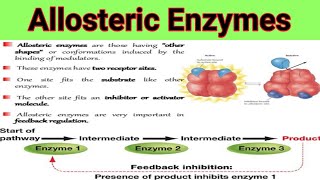 Allosteric Enzymes And Feedback Mechanism  Lecture No  28 [upl. by Baily]