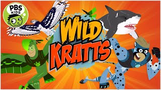 Wild Kratts Rescue Run Wild Kratts Endless Running Adventure  Wild Kratts Games [upl. by Laine]