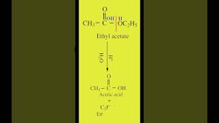 Acid Hydrolysis of Esters  Ethyl acetate to Acetic acid amp Ethanol  Organic Chemistry  cbse [upl. by Nosiddam60]