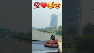 suit tera kala kala Dilli sara songkamalkhan yamnazaidi shortsshortvideo youtubeshorts❤️💯✅️ [upl. by Kcoj]