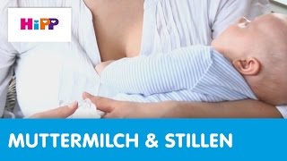 HebammenTipps Stillen Milchstau HiPP Ratgeber [upl. by Iadam]