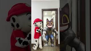 Comedy PAWPatrol Prank Over Cartoon Cat shorts funny pawpatrol [upl. by Laddy]