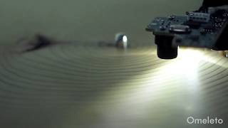 what do tree rings sound like when played like a record [upl. by Sig]