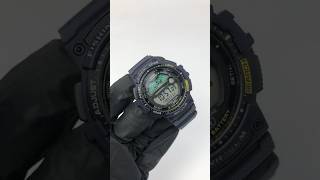 Casio Illuminator 3 Alarm [upl. by Rybma246]