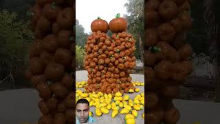 mango satisfying food amazing fruitsubscribe [upl. by Zolner]