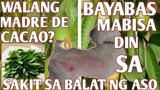 TANGGAL ANG GALIS NG ASOSAKIT SA BALAT NG ASOHONEST VLOG [upl. by Ulla390]