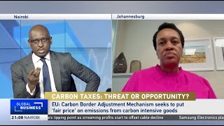 Analyst discusses potential effects of EUs Carbon Border Adjustment Mechanism [upl. by Allekim537]