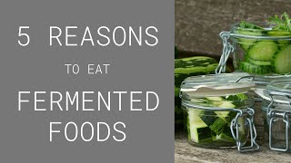 Why eat fermented foods 5 REASONS why they benefit YOU [upl. by Asille]