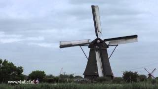 Overwaard Molen No 3 met draaiende wieken [upl. by Niwrud331]