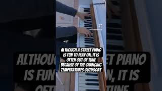 1000 vs 200k piano can you hear the difference steinwayandsons streetmusic moonlightsonata [upl. by Hatcher137]