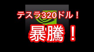 やっぱり来ました！テスラ株３２０ドル暴騰！これからのチャンスを逃すな！ [upl. by Kcinimod399]